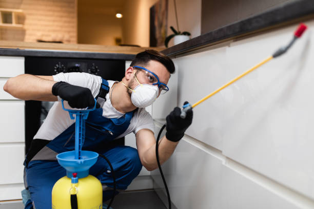 Best Insect Control  in East Greenville, PA