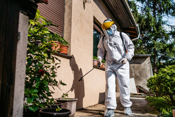 Professional Pest Control in East Greenville, PA