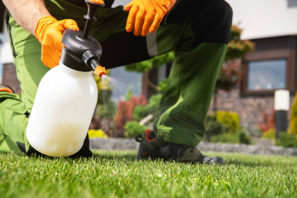 Best Wasp Removal Services  in East Greenville, PA
