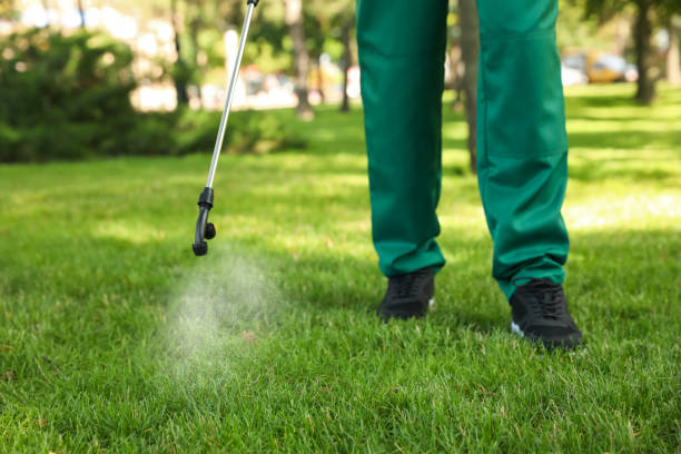 Reliable East Greenville, PA Pest Control Solutions