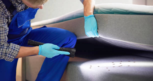 Best Ant Control Services  in East Greenville, PA