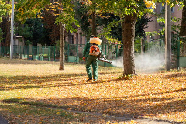 Best Flea Control Services  in East Greenville, PA