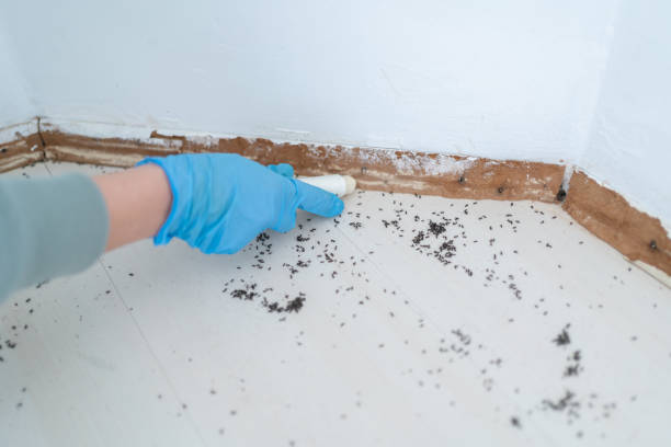Best Commercial Pest Control Services  in East Greenville, PA