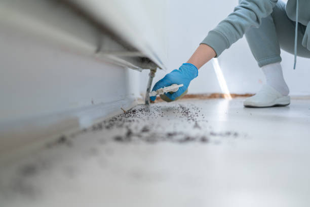 Best Best Pest Control Companies  in East Greenville, PA